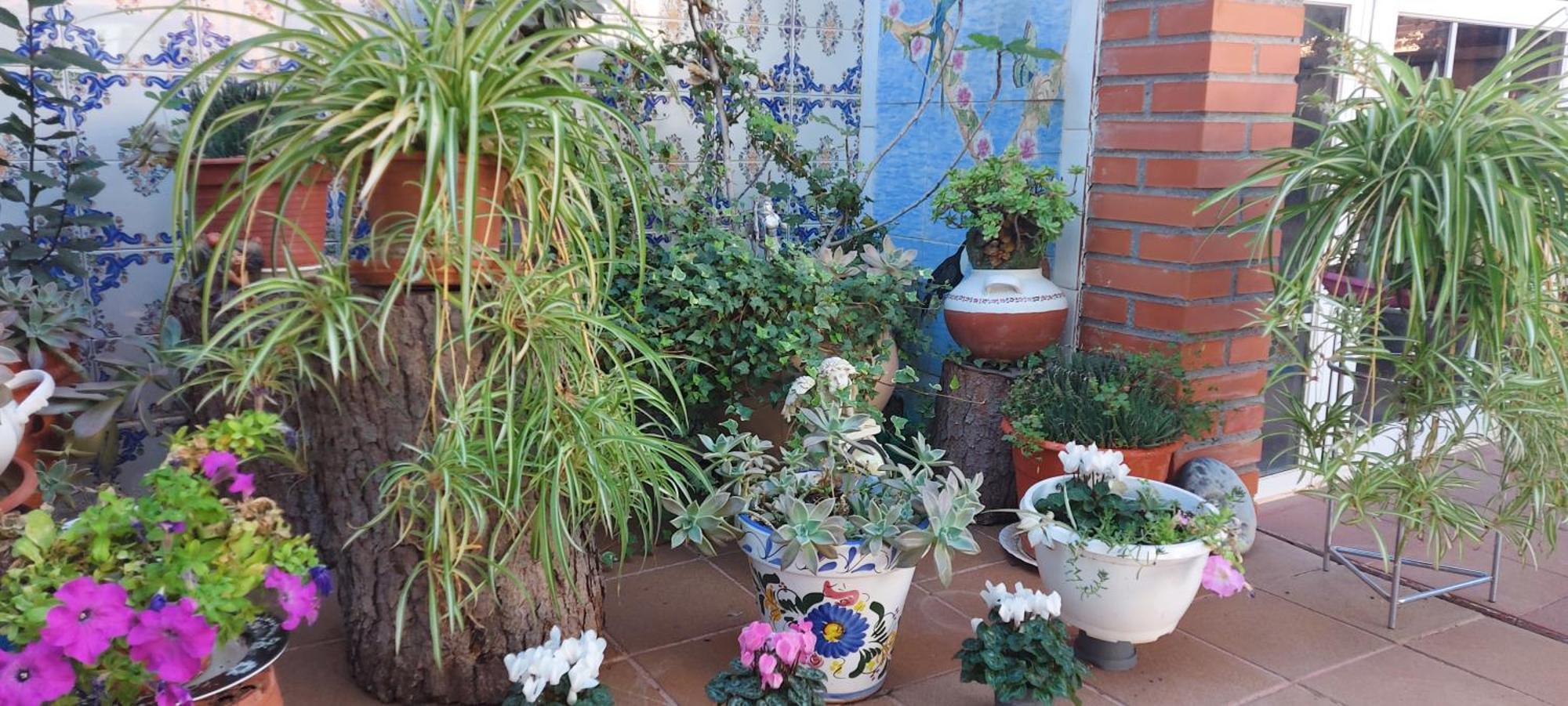 Habitacion,Piscina Y Jardin Асукека-де-Энарес Экстерьер фото