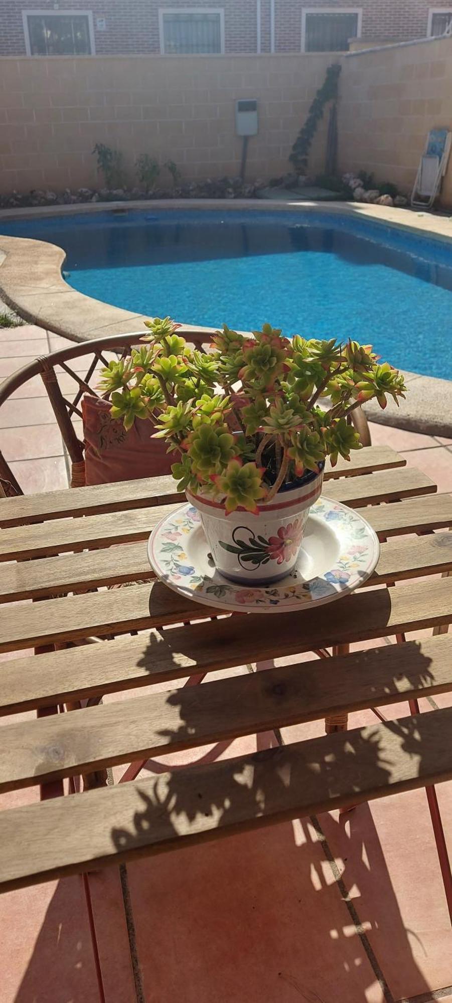 Habitacion,Piscina Y Jardin Асукека-де-Энарес Экстерьер фото